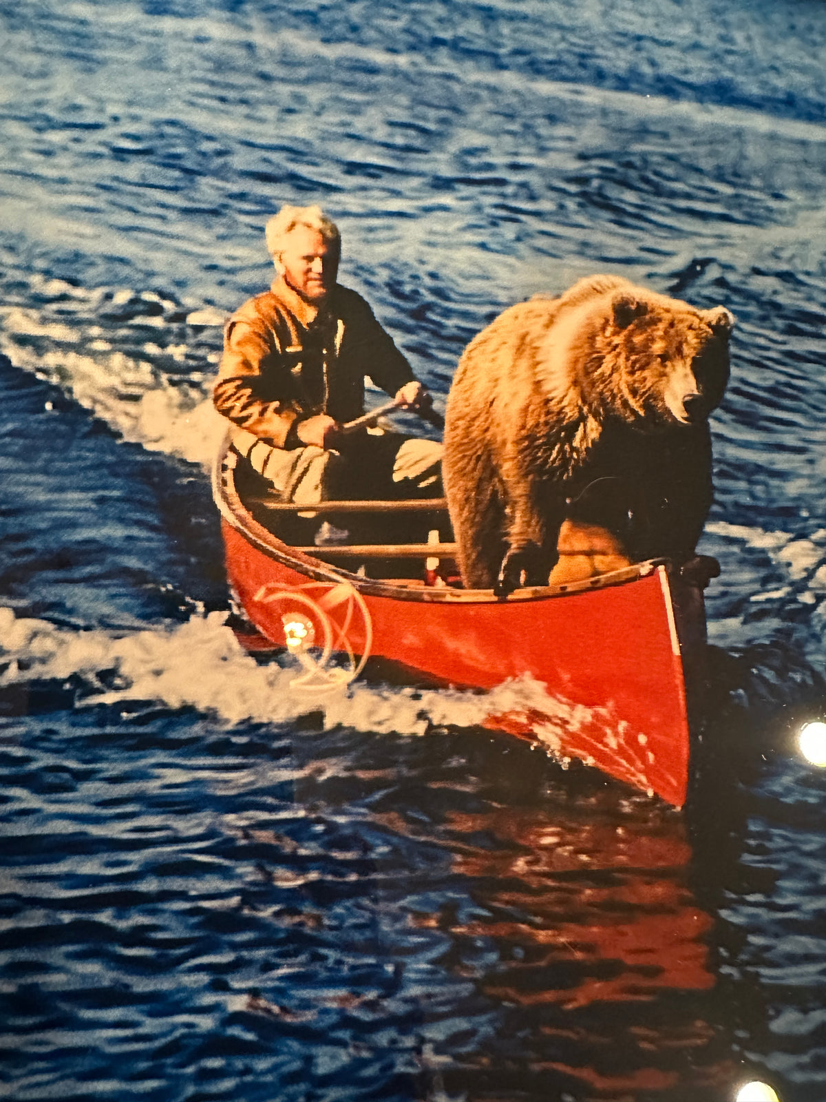 Hamm's Bear in a Canoe Backlit LED Bar Sign